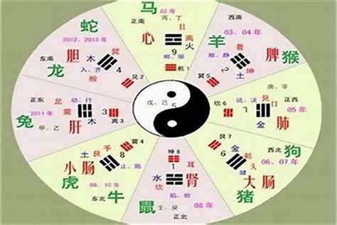 佑字五行|佑的五行属性是什么